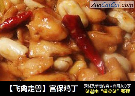 【飞禽走兽】宫保鸡丁