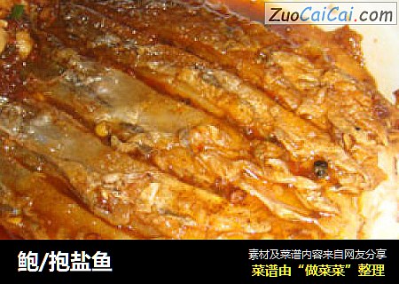 鲍/抱盐鱼