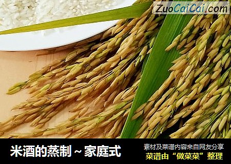 米酒的蒸制～家庭式