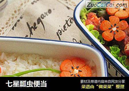 七星瓢虫便当
