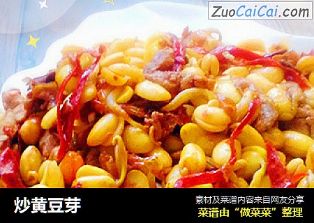 炒黄豆芽