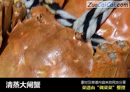 清蒸大闸蟹