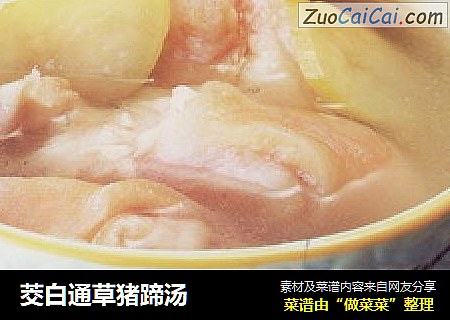茭白通草猪蹄汤