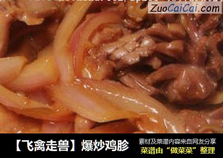 【飞禽走兽】爆炒鸡胗