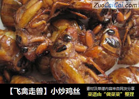 【飞禽走兽】小炒鸡丝