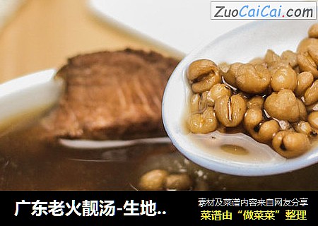 广东老火靓汤-生地土茯苓汤