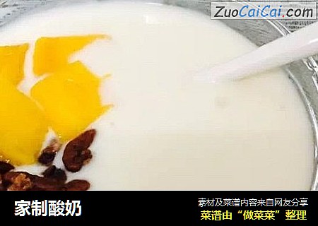 家制酸奶