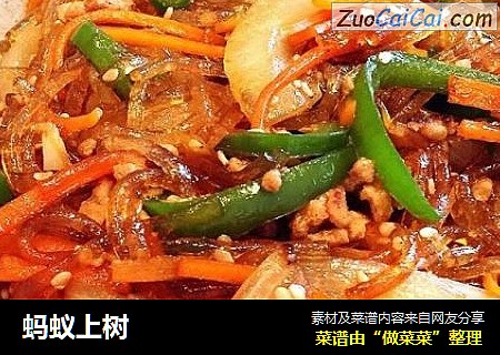 蚂蚁上树