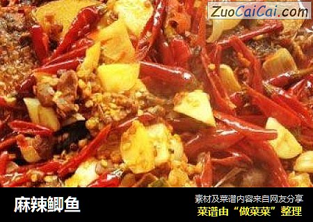 麻辣鲫鱼