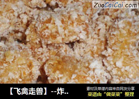 【飞禽走兽】--炸鸡米花