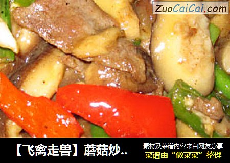 【飞禽走兽】蘑菇炒牛肉