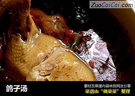 鸽子汤