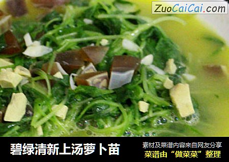 碧绿清新上汤萝卜苗