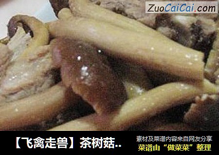 【飞禽走兽】茶树菇炖排骨