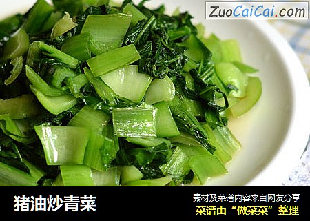 猪油炒青菜