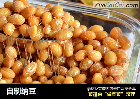 自制纳豆