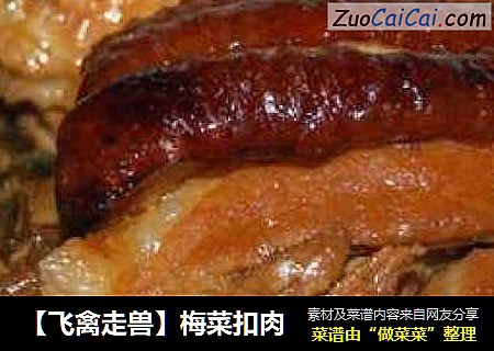 【飞禽走兽】梅菜扣肉