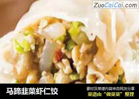 马蹄韭菜虾仁饺