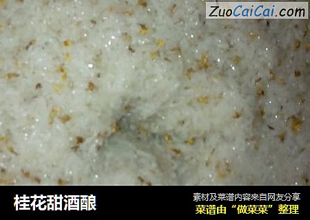 桂花甜酒酿