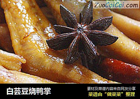 白芸豆烧鸭掌
