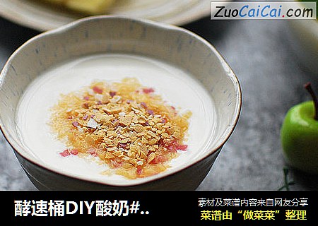 酵速桶DIY酸奶#元气道场#