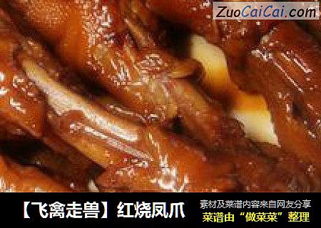 【飞禽走兽】红烧凤爪