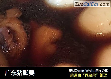 广东猪脚姜
