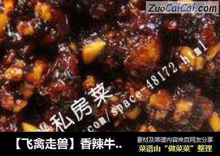 【飞禽走兽】香辣牛肉酱