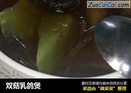 双菇乳鸽煲