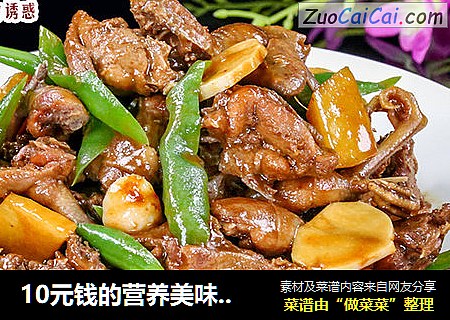 10元钱的营养美味【青椒焖鹌鹑】