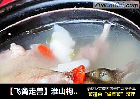 【飞禽走兽】淮山枸杞乳鸽煲