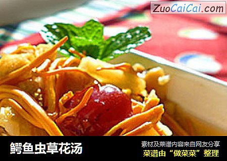 鳄鱼虫草花汤