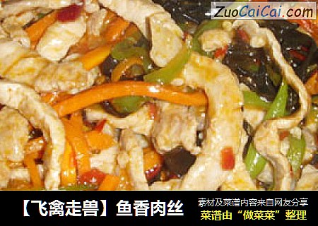 【飞禽走兽】鱼香肉丝
