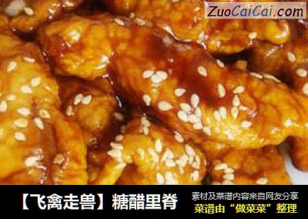 【飞禽走兽】糖醋里脊