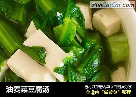 油麦菜豆腐汤