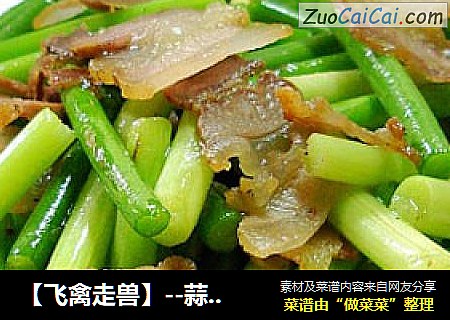 【飞禽走兽】--蒜苗炒腊肉