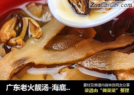 广东老火靓汤-海底椰霸王花汤