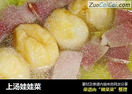 上汤娃娃菜