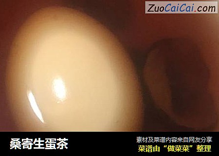 桑寄生蛋茶