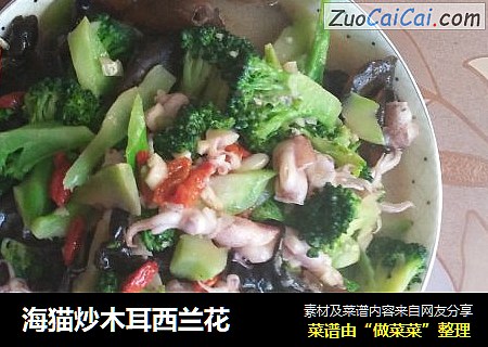 海猫炒木耳西兰花