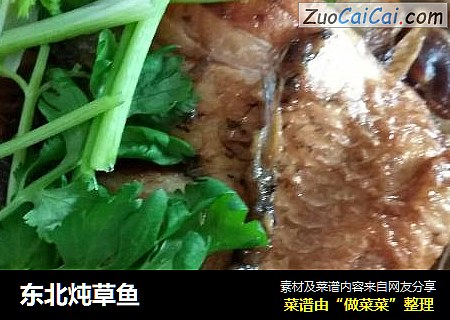 东北炖草鱼