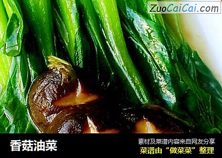 香菇油菜
