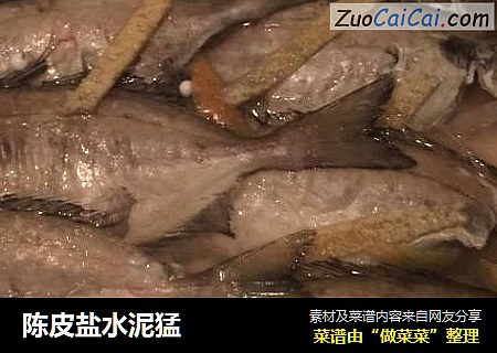 陈皮盐水泥猛