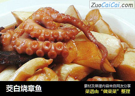 茭白烧章鱼 