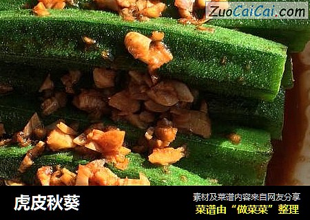 虎皮秋葵