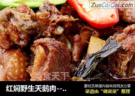 红焖野生天鹅肉--威厨艺