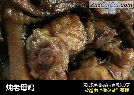 炖老母鸡
