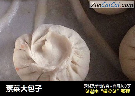 素菜大包子