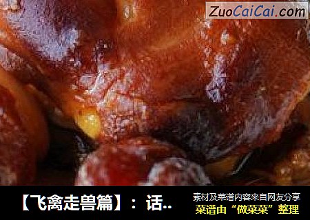 【飞禽走兽篇】：话梅猪手