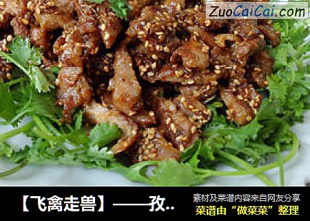 【飞禽走兽】——孜然羊肉